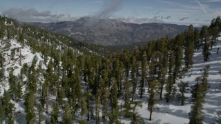 AX0009_120E - 5K aerial stock footage fly over snowy mountain ridge with evergreen forest in winter, San Bernardino Mountains, California
