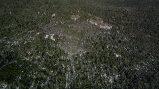 AX0009_124 - 5K aerial stock footage fly over snowy evergreen forest in the San Bernardino Mountains in winter, California