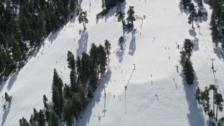 AX0009_132 - 5K aerial stock footage orbit skiers on a steep slope with winter snow at the Snow Summit Ski Resort, California