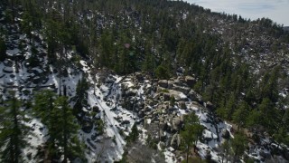 AX0010_026E - 5K aerial stock footage fly over evergreen forest on snowy San Bernardino Mountains slopes, California