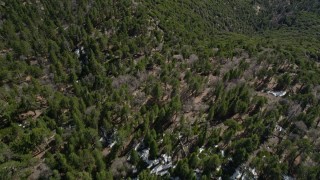 AX0010_045 - 5K aerial stock footage bird's eye of trees and small patches of snow in the San Bernardino Mountains, California
