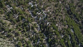 AX0010_046 - 5K aerial stock footage bird's eye view of evergreens and small snow patches in San Bernardino Mountains, California