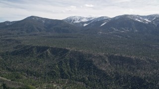 AX0010_049 - 5K aerial stock footage pan across forest near snowy San Bernardino Mountains in winter, California