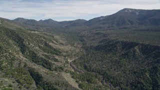 AX0010_050 - 5K aerial stock footage of a narrow canyon and evergreen forest in the San Bernardino Mountains, California