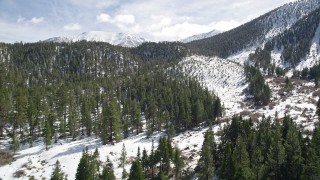 AX0010_058 - 5K aerial stock footage fly over forest with snow and tilt to reveal San Bernardino Mountains in winter, California