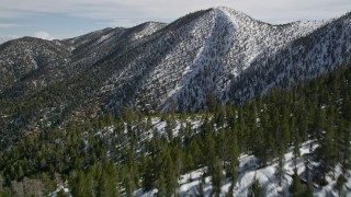 AX0010_065E - 5K aerial stock footage fly over forest and approach snowy peak in the San Bernardino Mountains in winter, California