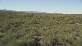 AX0014_018E - 5K aerial stock footage fly low over forests, Mountain Center, California