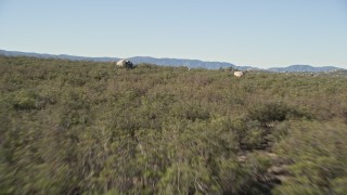 AX0014_020 - 5K aerial stock footage fly low over forests revealing rural homes, Mountain Center, California