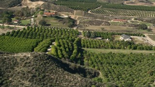 AX0014_034 - 5K aerial stock footage of flying over farmland and orchards, Temecula, California
