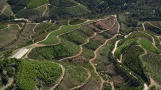 AX0015_013E - 5K aerial stock footage of farmland on hills, Fallbrook, California