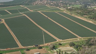 AX0015_030 - 5K aerial stock footage approach farmland, Fallbrook, California
