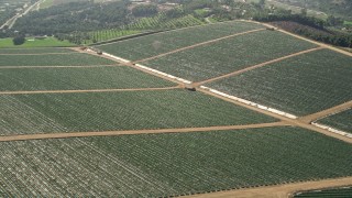 AX0015_033 - 5K aerial stock footage fly by fields with crops, Fallbrook, California