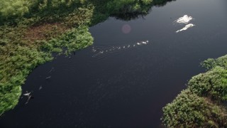 AX0018_059 - 5K aerial stock footage bird's eye view of the water of St. Johns River near Orlando at sunrise in Florida