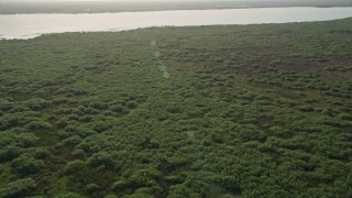 AX0018_061 - 5K aerial stock footage tilt to forest by Lake Washington at sunrise in Florida