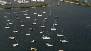 AX0020_004 - 5K aerial stock footage of sailboats moored outside Dinner Key Marina in Coconut Grove, Florida