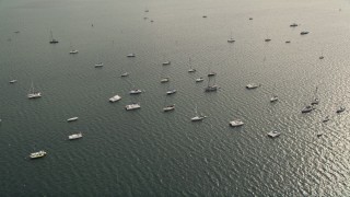 AX0021_150E - 5K stock footage aerial video approach and flyby sailboats and catamarans anchored near Coconut Grove, Florida