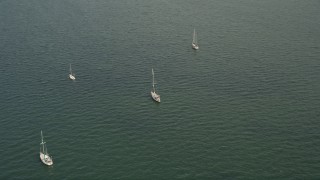 AX0021_152 - 5K aerial stock footage orbit four sailboats moored in the bay near Coconut Grove, Florida