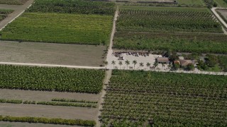 AX0025_009 - 5K aerial stock footage of flying over crops and farmland, Homestead, Florida