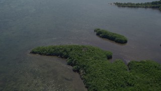 AX0025_015 - 5K aerial stock footage of flying over Mangrove Preserve on the coast, Homestead, Florida