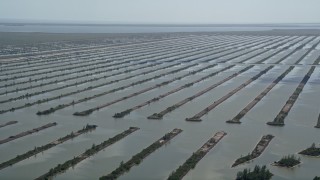 AX0025_022 - 5K aerial stock footage of flying by Turkey Point Power Plant cooling canal system, Homestead, Florida