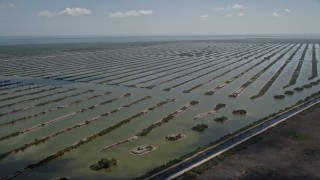 AX0025_024E - 5K aerial stock footage of passing by the Turkey Point Power Plant cooling canal system, Homestead, Florida
