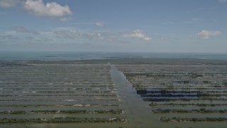 AX0025_028 - 5K aerial stock footage of Turkey Point Power Plant cooling canal system, Homestead, Florida