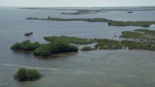 AX0025_033 - 5K aerial stock footage of flying over clusters of coastal mangroves, Model Lands Basin, Homestead, Florida
