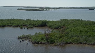 AX0025_034 - 5K aerial stock footage video of flying over coastal mangroves, Model Lands Basin, Homestead, Florida