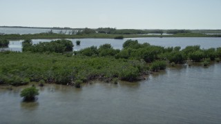 AX0025_035 - 5K aerial stock footage of flying over water, revealing mangroves, Model Lands Basin, Homestead, Florida