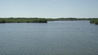 AX0025_038 - 5K aerial stock footage of flying low over coastal mangroves, Model Lands Basin, Homestead, Florida