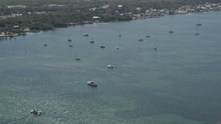 AX0025_063 - 5K aerial stock footage video of flying over sailboats and mangroves on Blackwater Sound, Key Largo, Florida