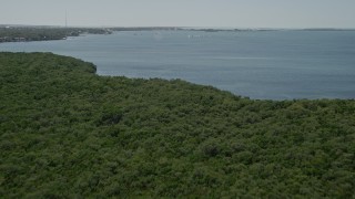 AX0025_065 - 5K aerial stock footage fly over mangroves, Buttonwood Sound shore, sailboats, Key Largo, Florida