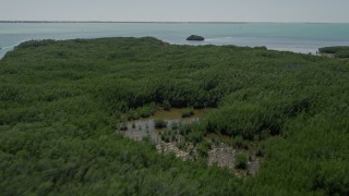AX0025_098 - 5K aerial stock footage of flying over mangroves, Tavernier, Florida