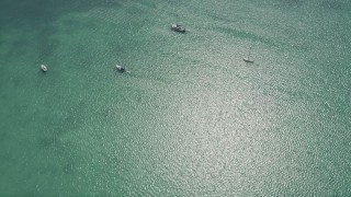 AX0025_113 - 5K aerial stock footage of a bird's eye view of sailboats and catamarans, Islamorada, Florida