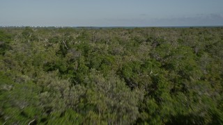 AX0027_057E - 5K aerial stock footage of flying low over mangroves, revealing bays and marshlands, Upper Sugarloaf Key, Florida