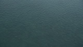 AX0028_008 - 5K stock footage aerial video of a shark swimming in the ocean near Marathon, Florida