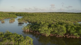 AX0028_012 - 5K aerial stock footage of flying low over mangroves at sunset in Long Key, Florida