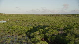 AX0028_013 - 5K aerial stock footage of flying low over and island with mangroves, Long Key, Florida, sunset