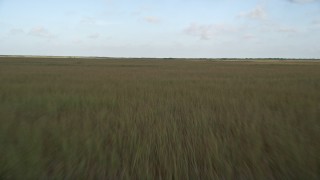 AX0030_007E - 5K aerial stock footage of flying low over marshland, Florida Everglades, Florida