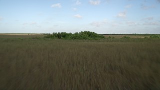 AX0030_009E - 5K aerial stock footage of flying low over marshland and trees, Florida Everglades, Florida