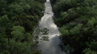 AX0030_016E - 5K aerial stock footage of following river through everglades, Florida Everglades, Florida