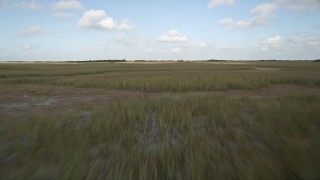 AX0030_025E - 5K aerial stock footage of racing over marshland, Florida Everglades, Florida