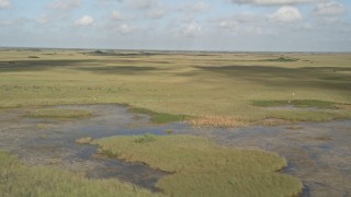 AX0030_031 - 5K aerial stock footage of flying by marshland, Florida Everglades, Florida