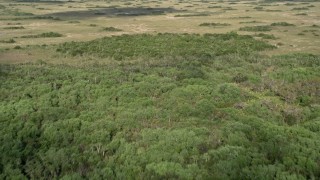 AX0030_036E - 5K aerial stock footage of Florida marshland, Florida Everglades, Florida