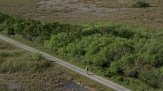 AX0030_043 - 5K aerial stock footage of approaching cyclist on country road, Florida Everglades, Florida