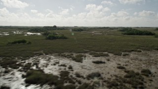 AX0030_047 - 5K aerial stock footage of passing by marshland, Florida Everglades, Florida