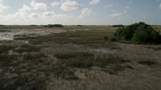 AX0030_049E - 5K aerial stock footage of flying over marshland, reveal a road through the Florida Everglades, Florida