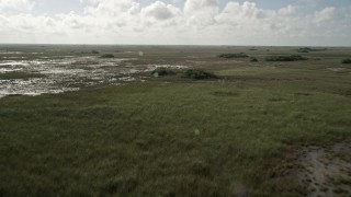 AX0030_052 - 5K aerial stock footage of flying over marshland, ascend and tilt to marshes, Florida Everglades, Florida