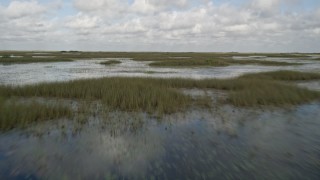 AX0030_075E - 5K aerial stock footage of flying low over marshland, Florida Everglades, Florida