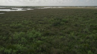 AX0030_079E - 5K aerial stock footage video of flying over forest and marshes in the Florida Everglades, Florida